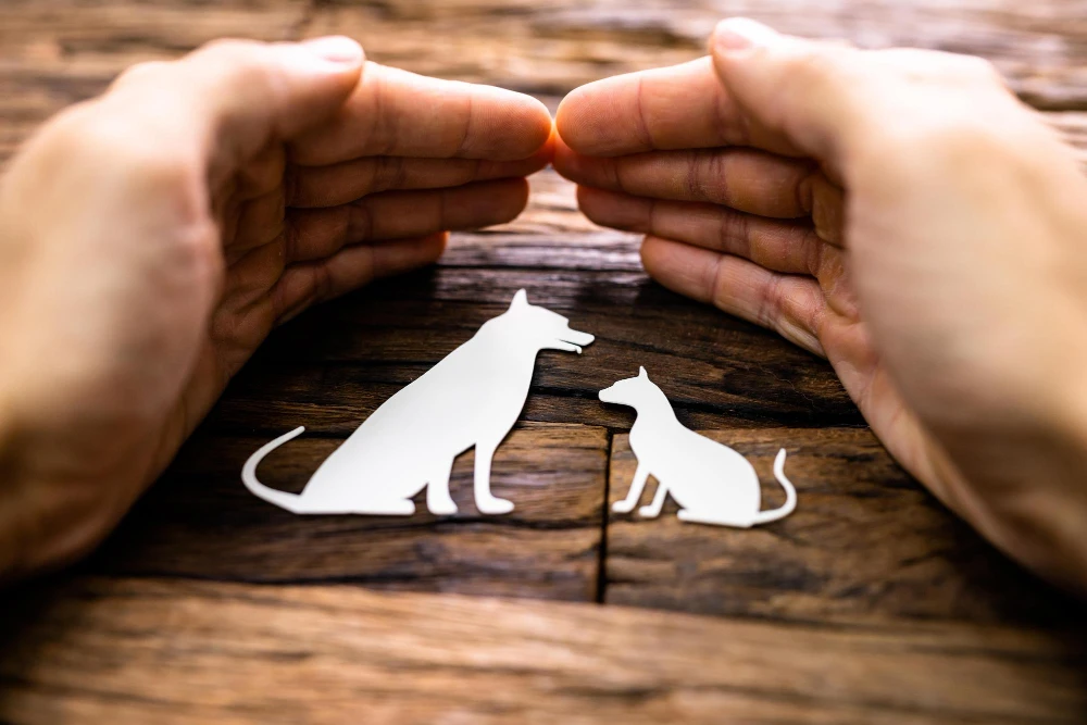 Mains protégeant des silhouettes de chien et de chat