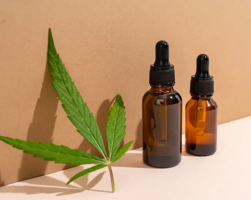 cbd chien stress