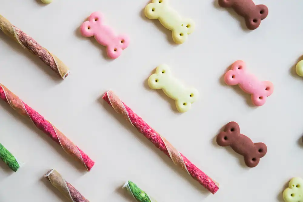 friandises saines chien