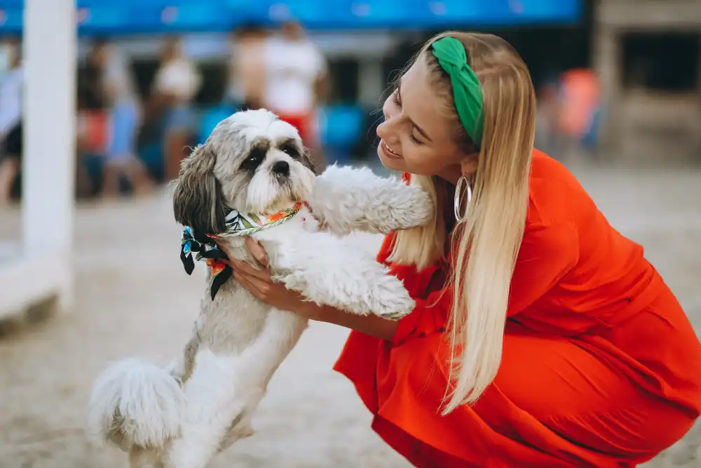 races de chiens préférées des français