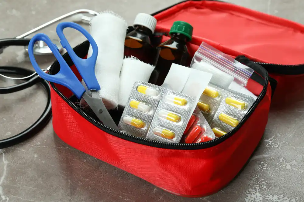 trousse de secours pour chien