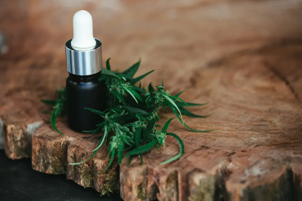 cbd pour chien
