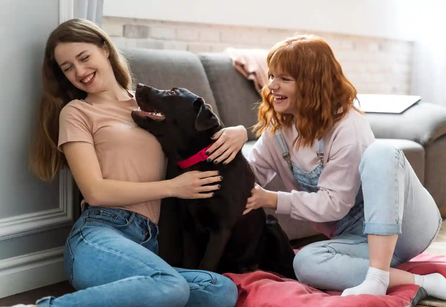 conseils pour accueillir un chien et favoriser son intégration dans la famille