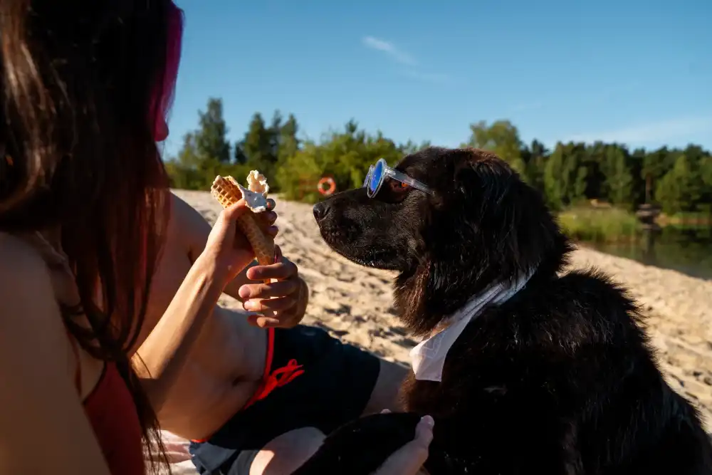 partir en vacances avec son chien