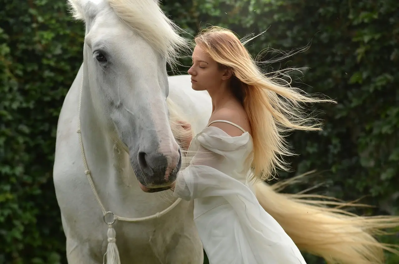 prendre soin des articulations de son cheval