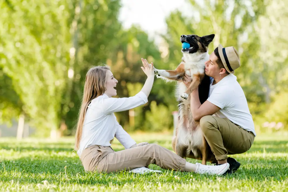Chien jouant avec sa famille et faisant un high five, interactions humaines favorisant la socialisation du chien