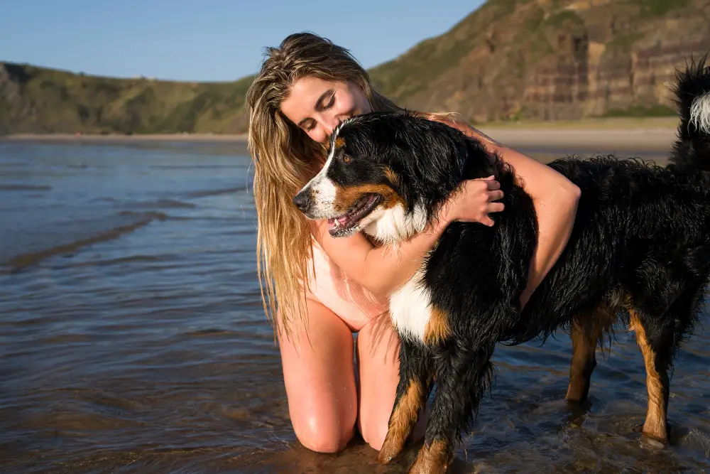 Berger bernois femelle à la plage avec sa maîtresse, noms pour grandes chiennes évoquant force et douceur (Athena, Dakota, Nova).