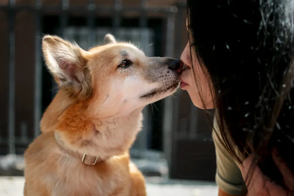 Chien adopté chez un particulier créant un lien affectif avec sa nouvelle propriétaire