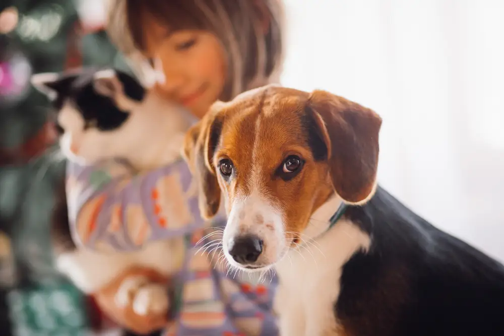 Enfant avec un chien et un chat à la maison après une adoption chien réussie