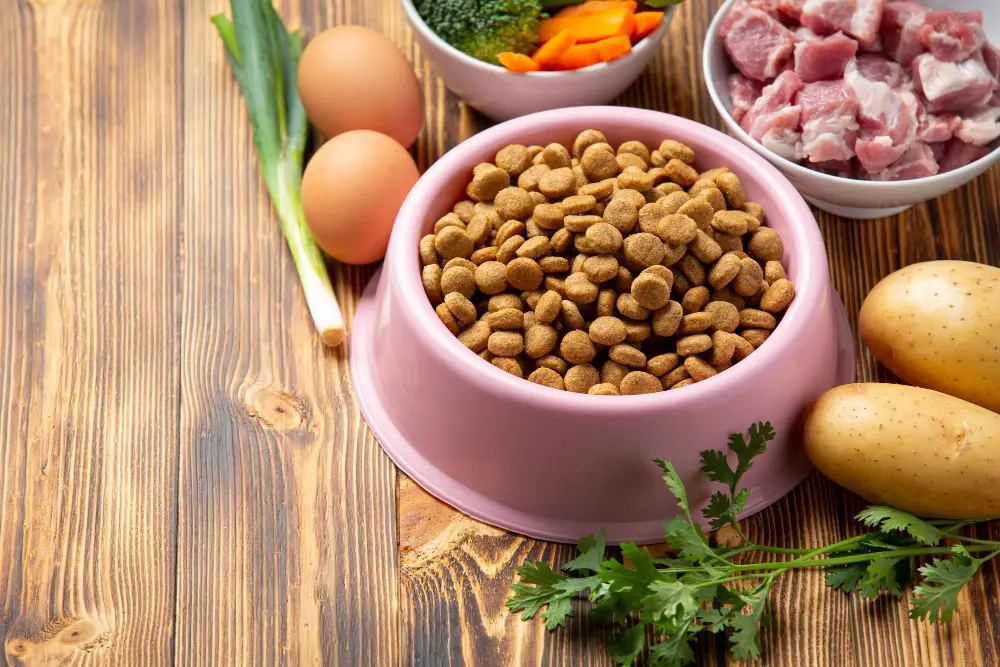 Gamelle de croquettes entourée d'oeufs, viande, légumes et pommes de terre pour illustrer les protéines, vitamines et minéraux du chien