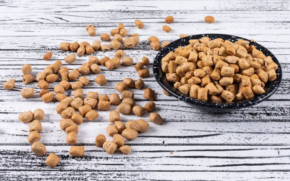 Croquettes pour chien versées dans une assiette sur table en bois, visuel adapté pour parler des ingrédients et de la qualité nutritionnelle