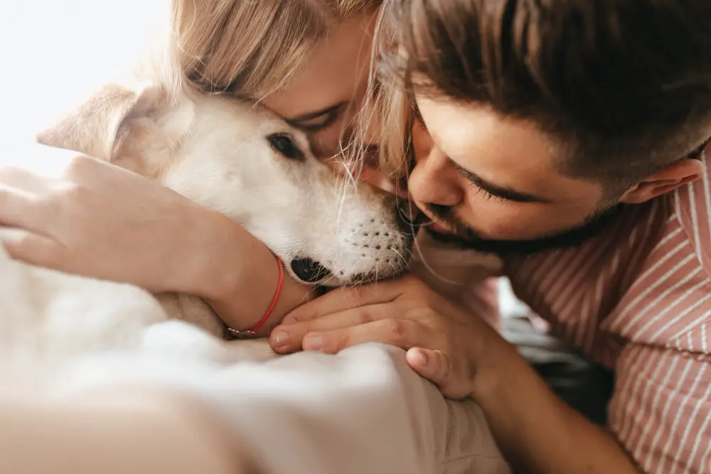 Couple câlinant un chien pour lui montrer de l'affection