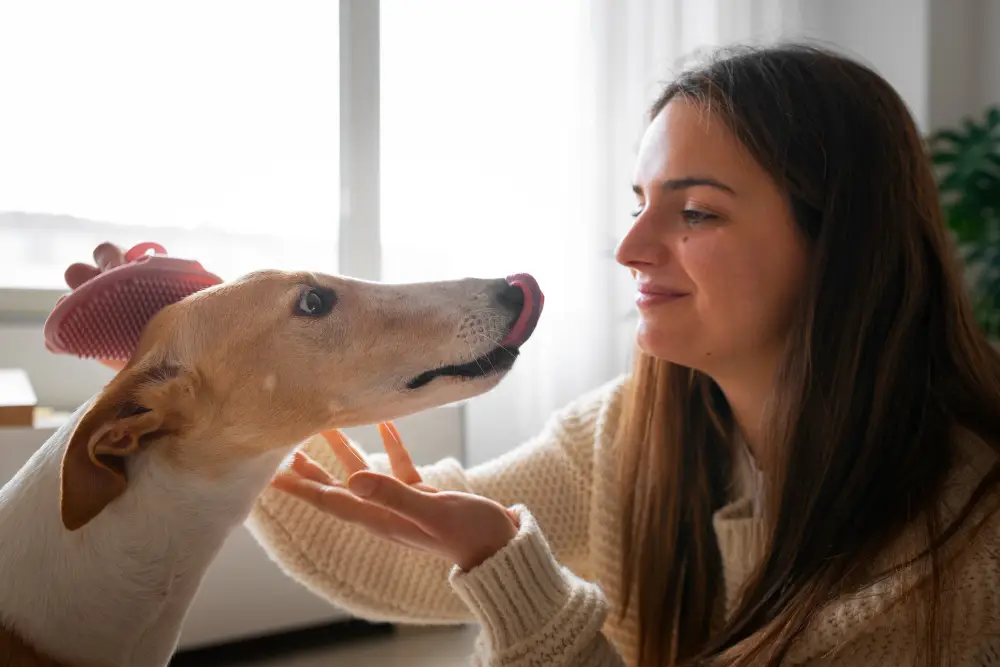 Chien affectueux recevant des caresses pendant le brossage avec sa maîtresse