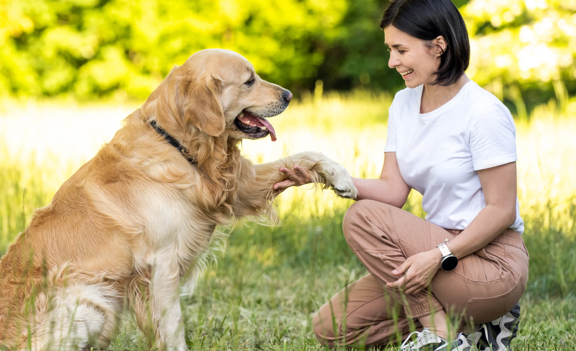 Femme éduquant son chien Golden Retriever en lui donnant la patte dans un parc.